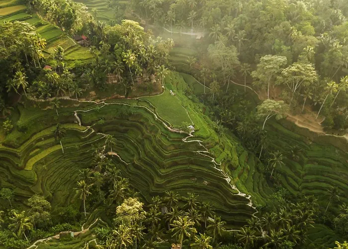 Alankara & Ubud By Mahaprana